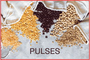 Pulses - دالیں